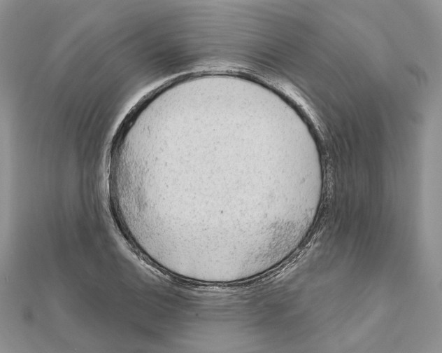 X0000111641124200908281151