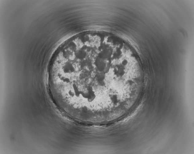 X0000111641125200908281151