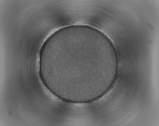 X0000111641126200908281151