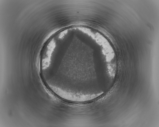 X0000111641127200908281151