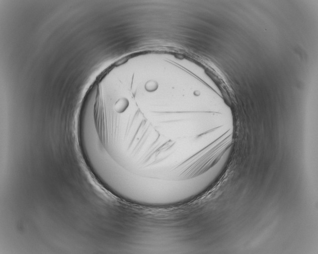 X0000111641128200908281151