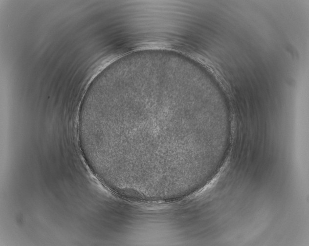 X0000111641129200908281151