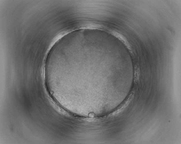 X0000111641130200908281151