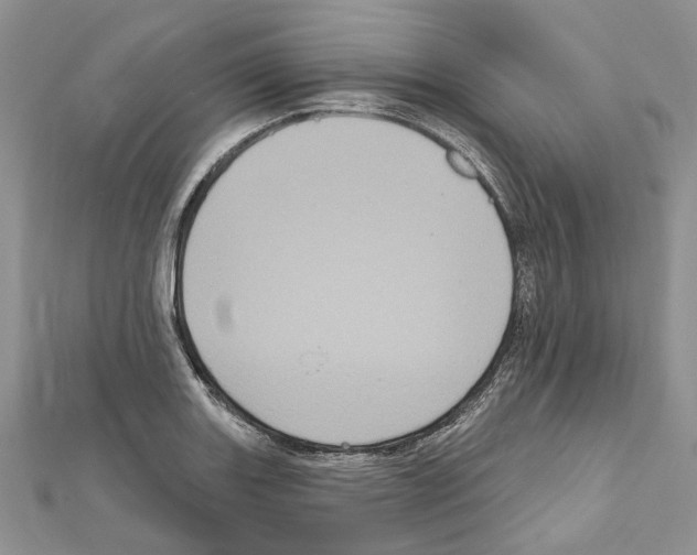 X0000111641131200908281151