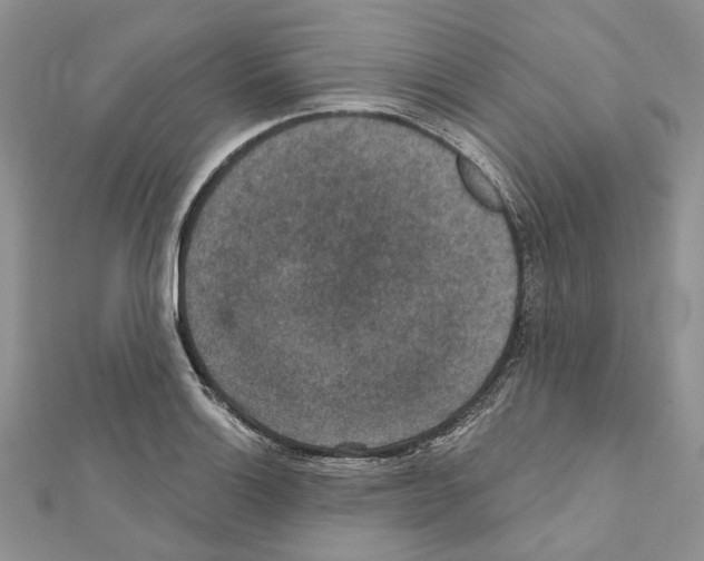 X0000111641132200908281151