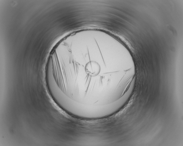 X0000111641134200908281151