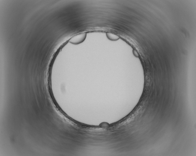 X0000111641135200908281151
