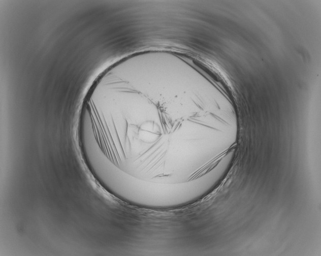 X0000111641136200908281151