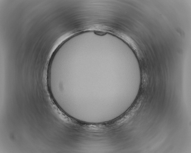 X0000111641138200908281151