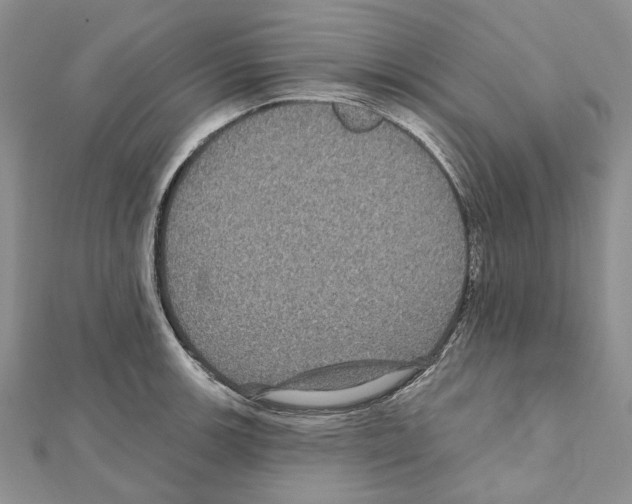 X0000111641139200908281151
