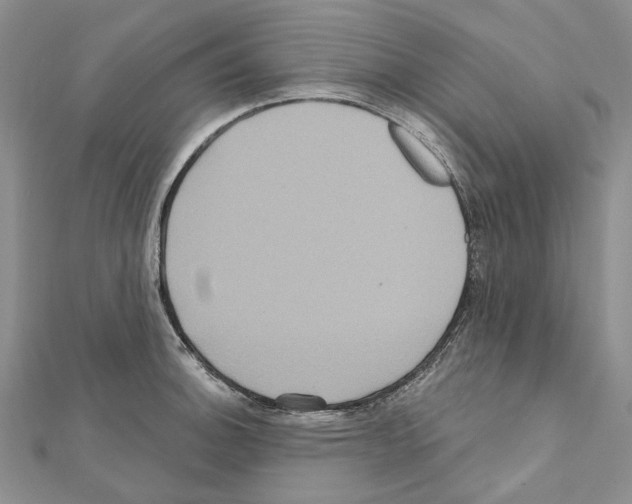 X0000111641140200908281151