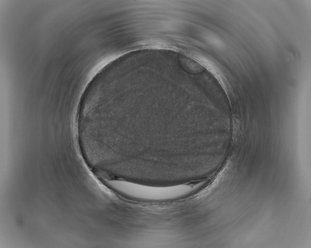 X0000111641141200908281151