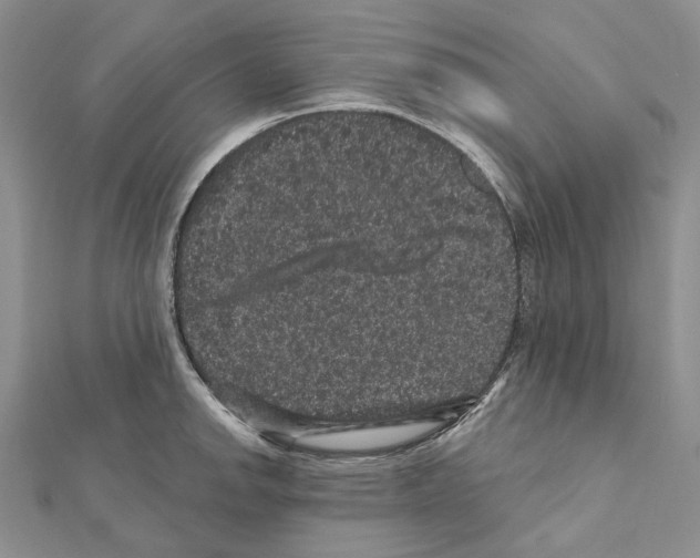 X0000111641142200908281151
