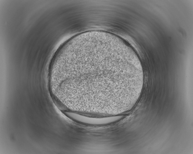 X0000111641143200908281151