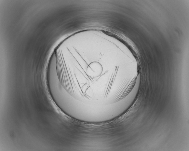 X0000111641144200908281151
