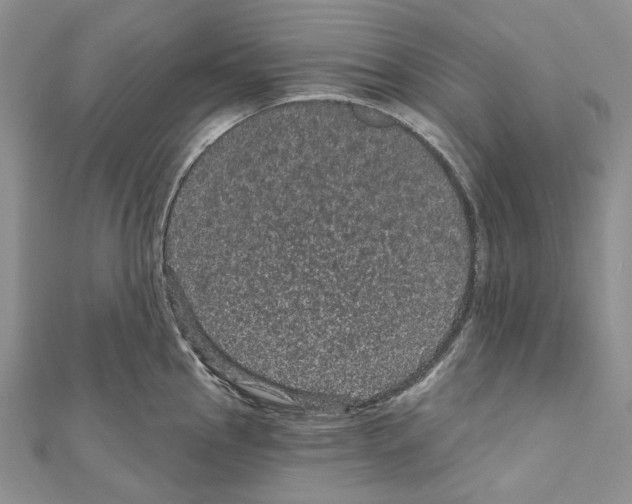X0000111641145200908281151