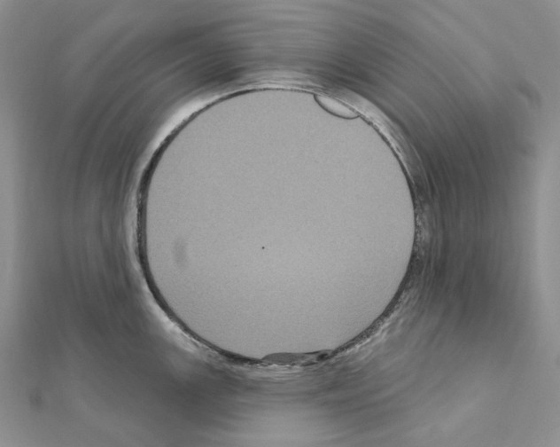 X0000111641147200908281152