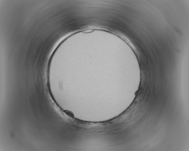 X0000111641148200908281152