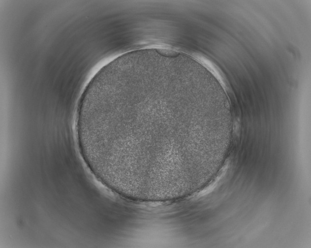 X0000111641149200908281152