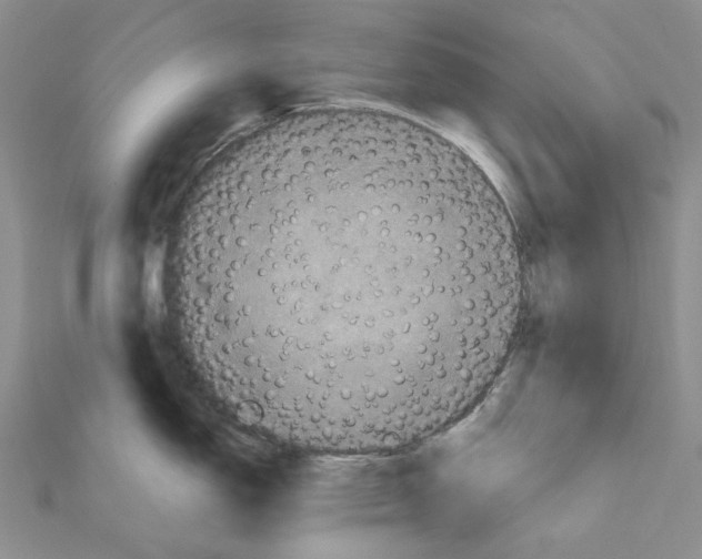 X0000111641150200908281152