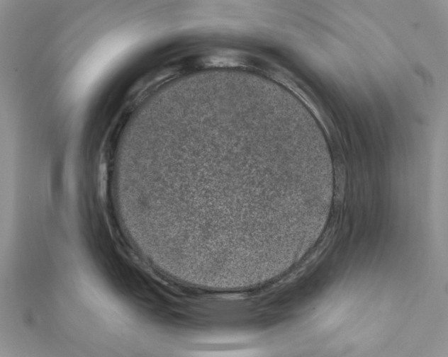 X0000111641151200908281152