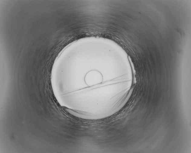 X0000111641153200908281151