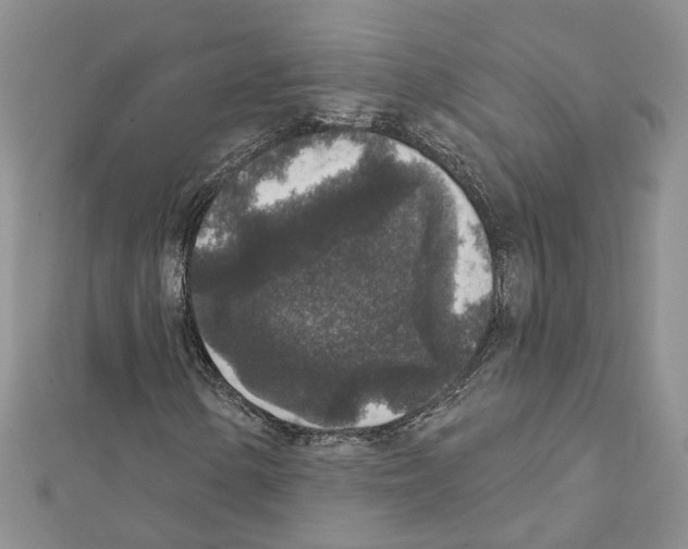 X0000111641154200908281151