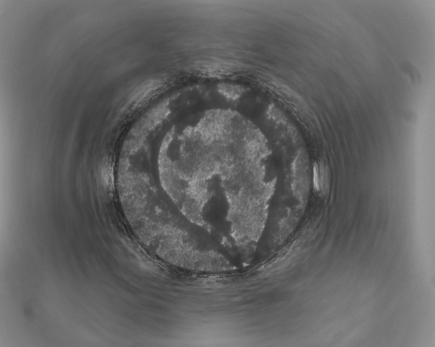 X0000111641155200908281151