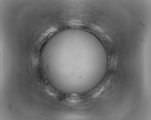 X0000111641157200908281151