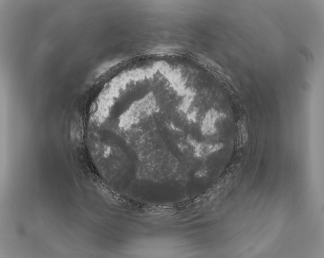 X0000111641158200908281151