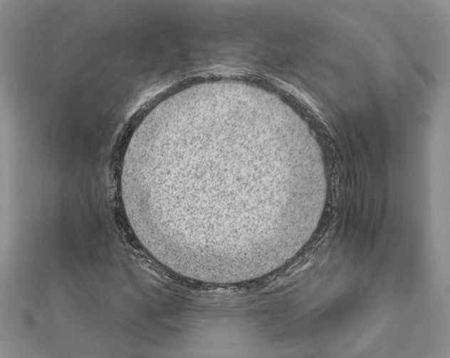 X0000111641160200908281151