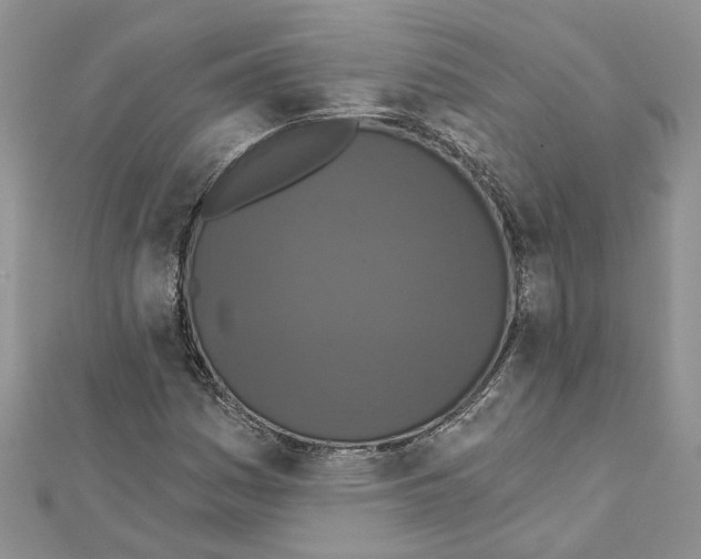 X0000111641161200908281151