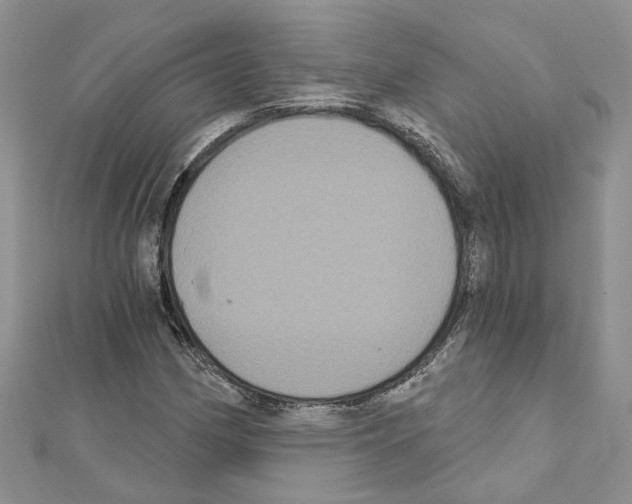 X0000111641162200908281151