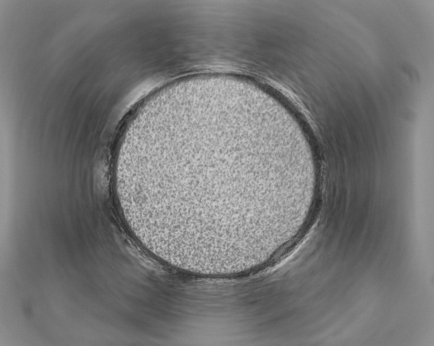 X0000111641163200908281151
