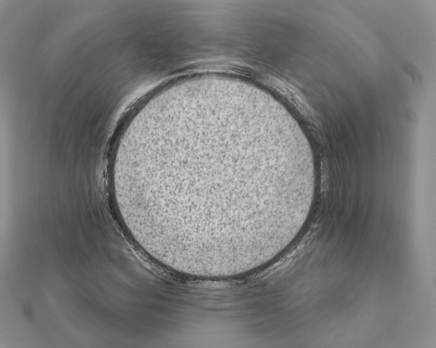 X0000111641164200908281151