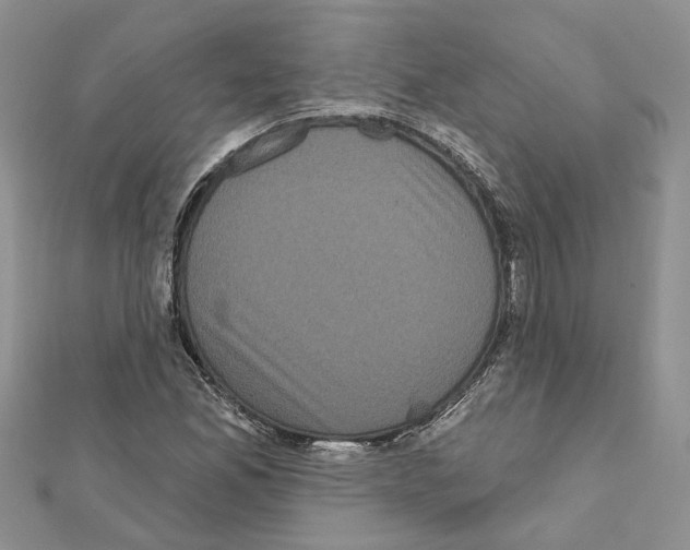X0000111641165200908281151