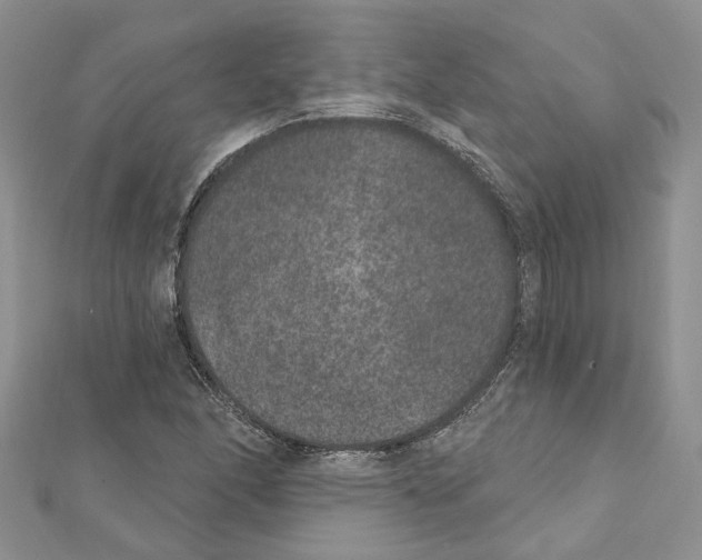 X0000111641166200908281151