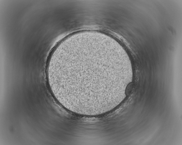 X0000111641168200908281151