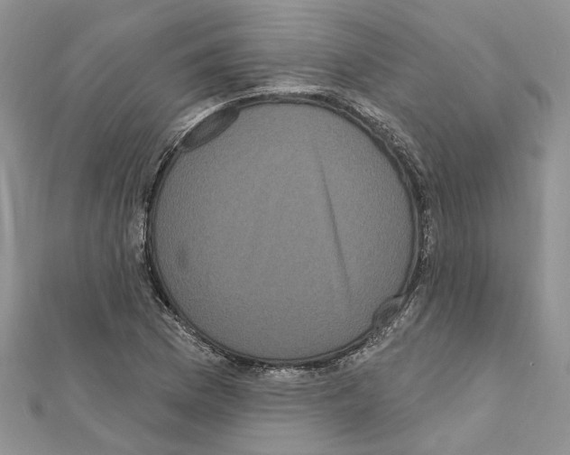 X0000111641169200908281151
