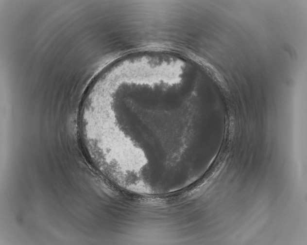 X0000111641170200908281151