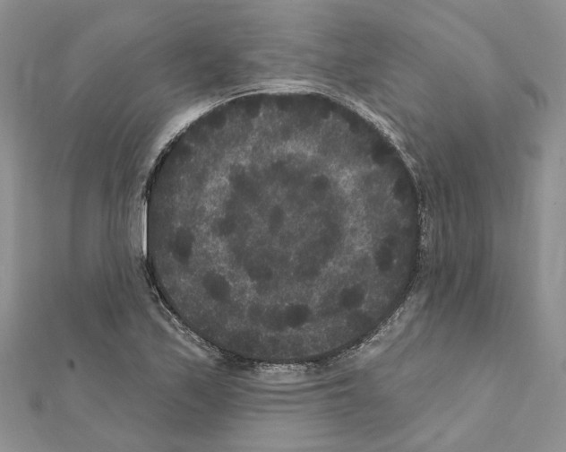 X0000111641171200908281151