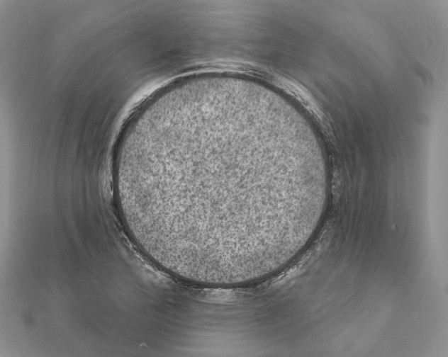 X0000111641172200908281151