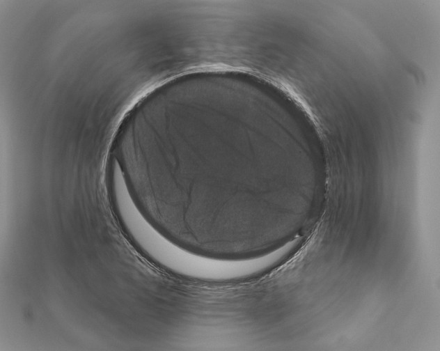 X0000111641173200908281151