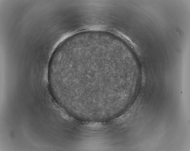 X0000111641174200908281151