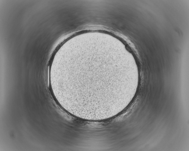 X0000111641175200908281151