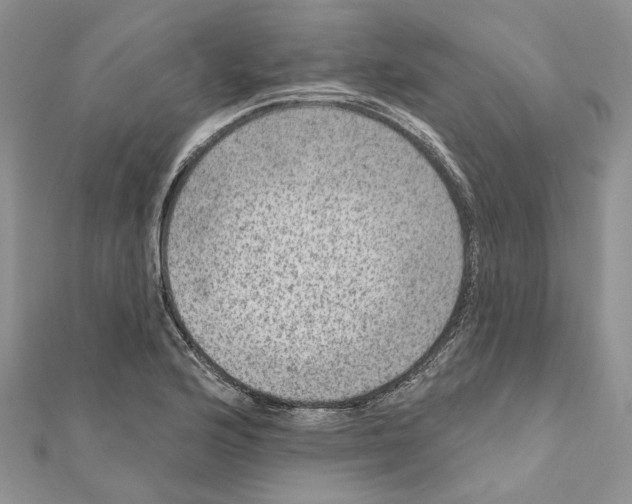 X0000111641176200908281151