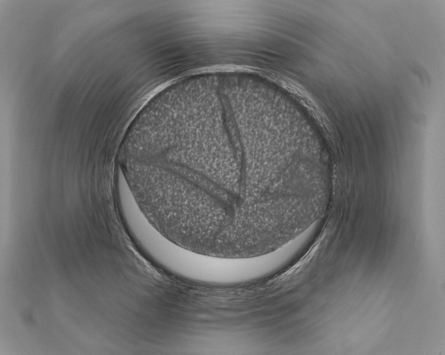 X0000111641177200908281150