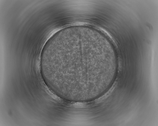 X0000111641178200908281150