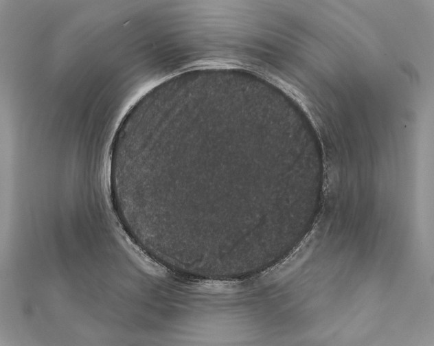 X0000111641179200908281150