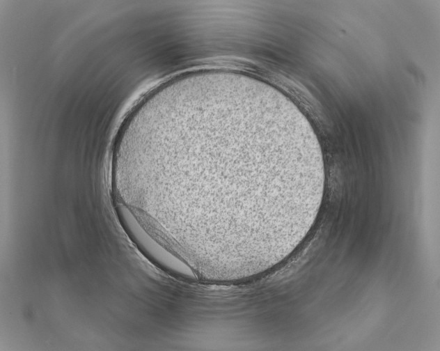 X0000111641180200908281150